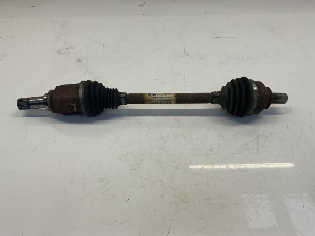 IMG_4341.jpeg