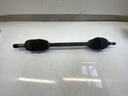 IMG_4533.jpeg