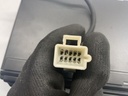 IMG_4701.jpeg