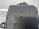 IMG_4772.jpeg