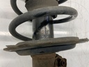 IMG_4999.jpeg