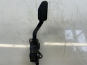 IMG_5041.jpeg