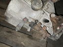 IMG_5460.jpeg