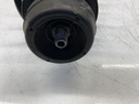IMG_5607.jpeg