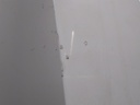 16980668353625301819516704612484.jpg