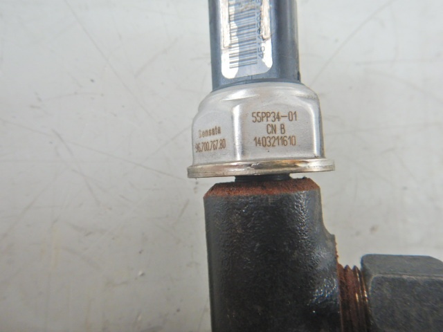 DSCN4355.JPG