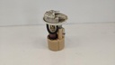 PXL_20231027_123746679.jpg