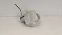 PXL_20231027_105951834.jpg
