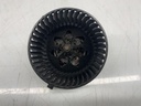 IMG_6634.jpeg