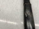 IMG_6646.jpeg