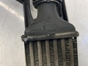 IMG_6678.jpeg