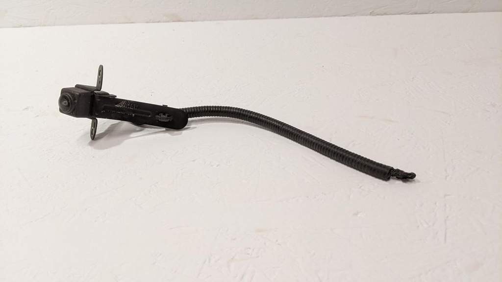 PXL_20231108_152824999.jpg