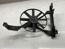 IMG_6803.jpeg
