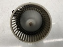IMG_7273.jpeg