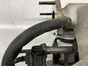 IMG_7299.jpeg
