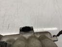 IMG_7298.jpeg
