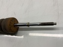IMG_7305.jpeg