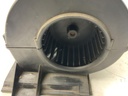 IMG_7569.jpeg