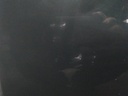 17019522090531452326990414115696.jpg