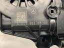 IMG_7813.jpeg
