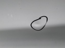 17022960815092722281239067513032.jpg