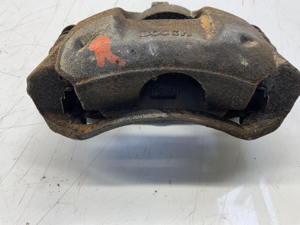 IMG_8138.jpeg