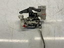 IMG_8381.jpeg