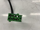 IMG_8501.jpeg