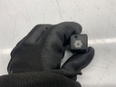 IMG_8511.jpeg