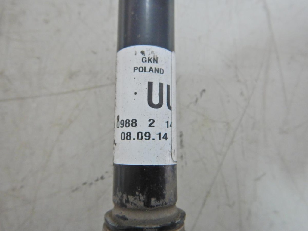 DSCN5123.JPG