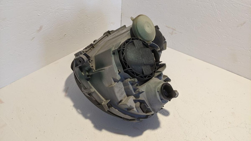 PXL_20240109_104735068.jpg