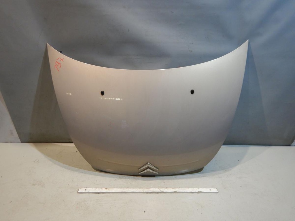 DSCN5451.JPG