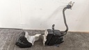 PXL_20240130_080227898.jpg
