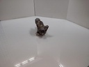 17079858464502010056639723600235.jpg