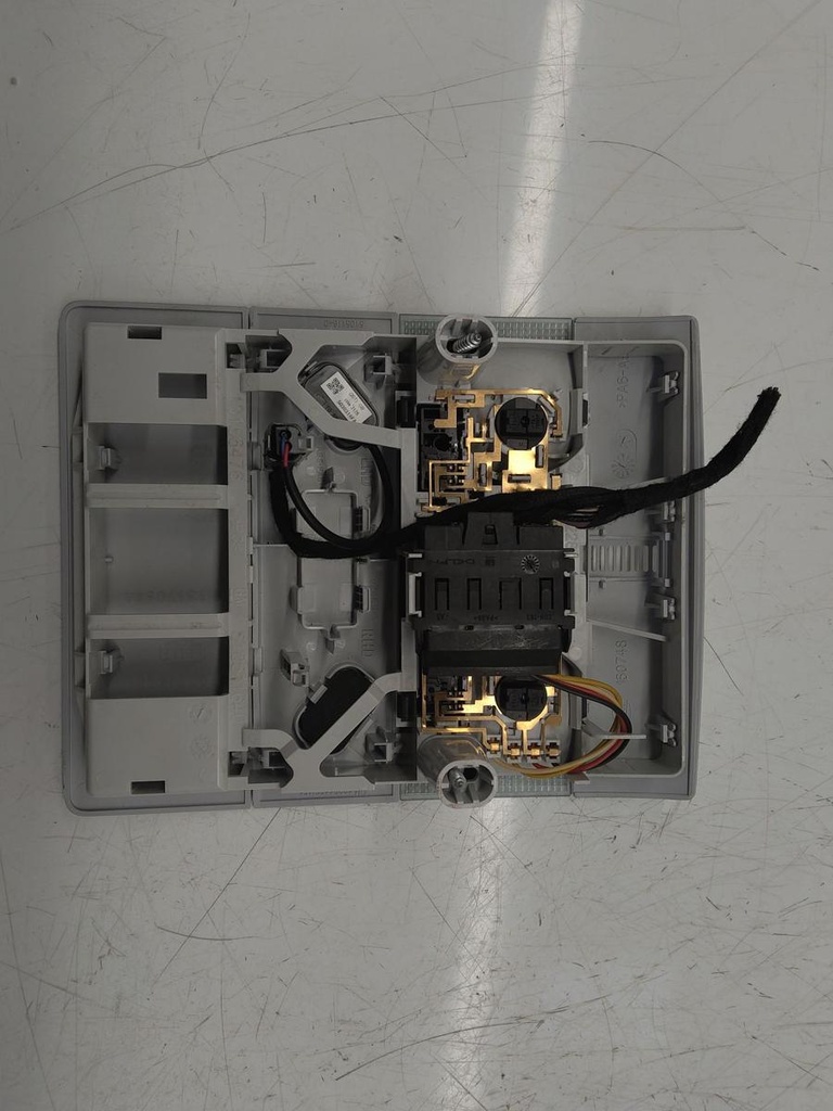 IMG_20240215_102151.jpg