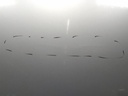 17096283901999127295635503166990.jpg