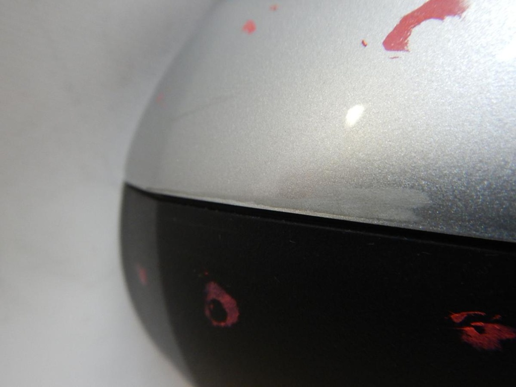 DSCN6818.JPG
