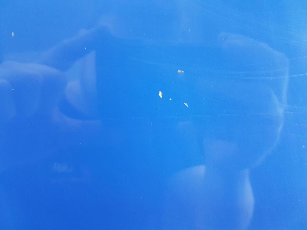 20240409_112708.jpg