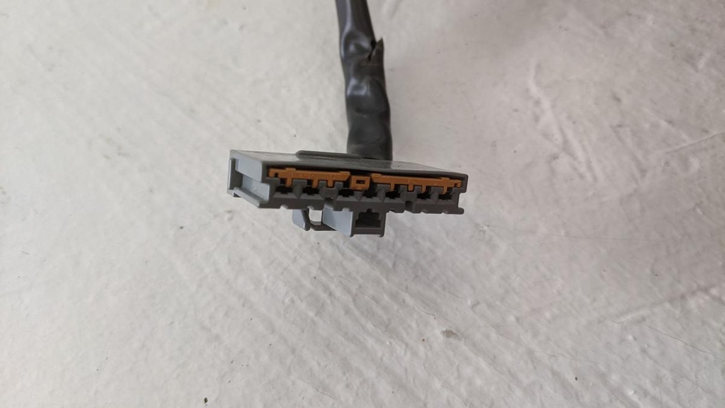 PXL_20240409_124133024.jpg