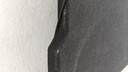 PXL_20240410_111103459.jpg