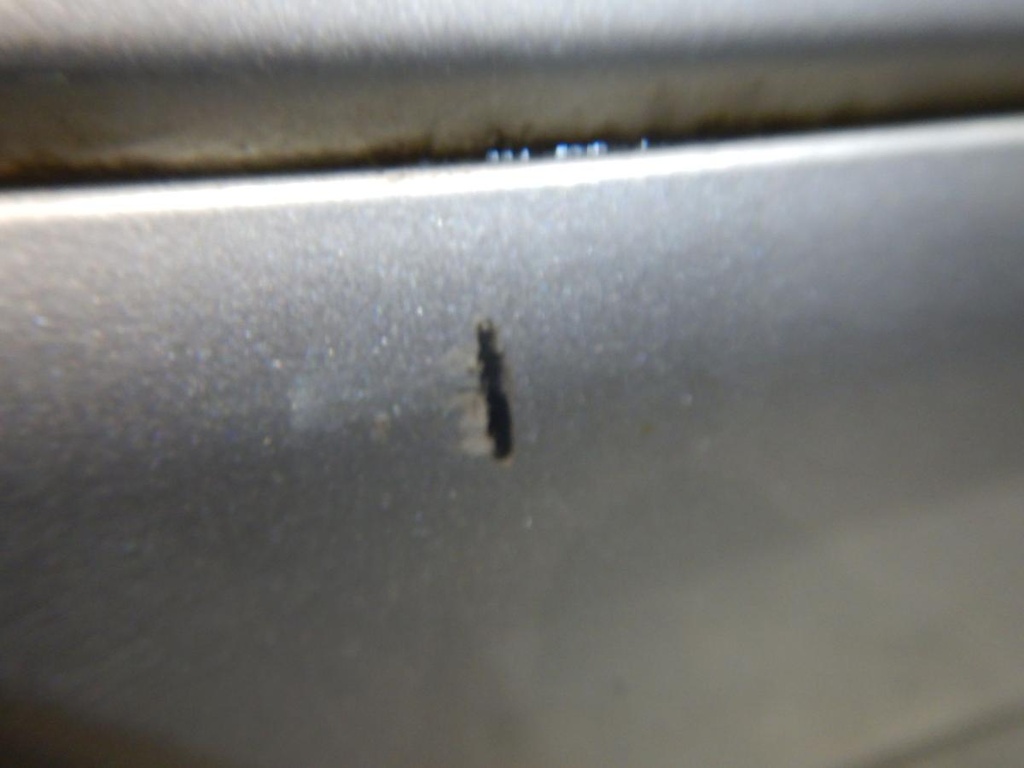 DSCN6972.JPG