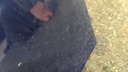 PXL_20240403_122415051.jpg