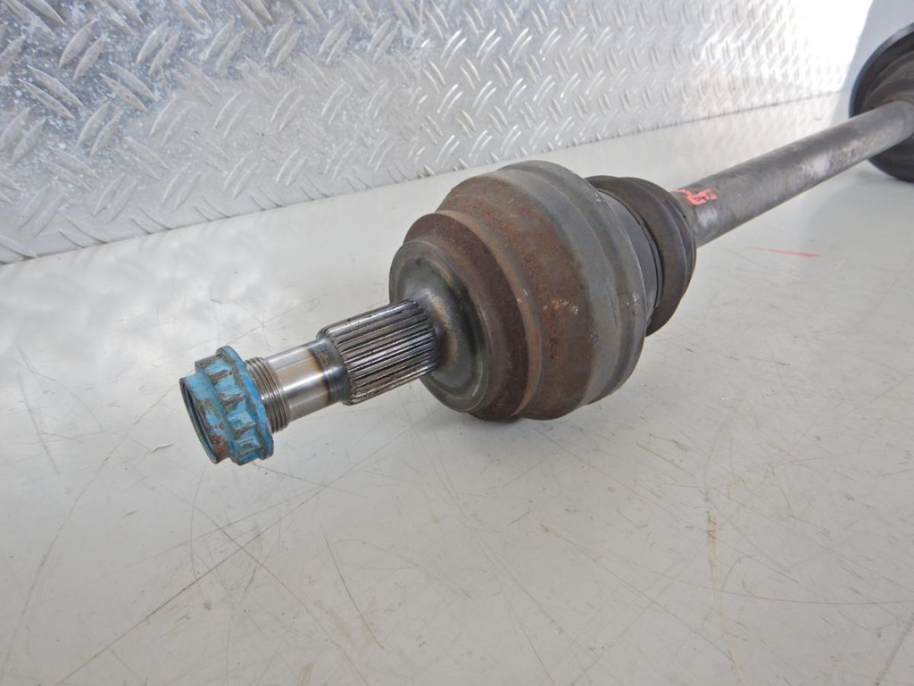 DSCN6436.JPG