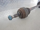 DSCN6436.JPG