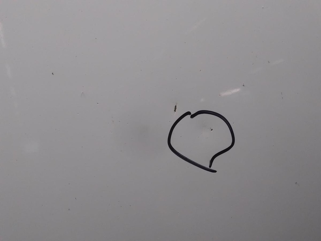 17163778491292136617259319378596.jpg
