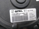 17169809526476811506622680076600.jpg
