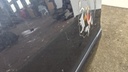 PXL_20240530_130622173.jpg