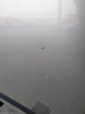 IMG_20240712_120606_134.jpg