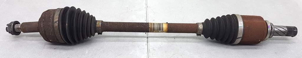 20240715_112909.jpg