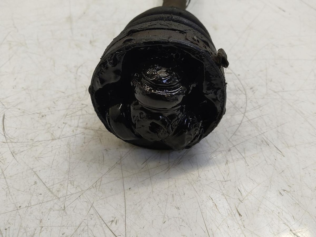 IMG_20240716_160655.jpg